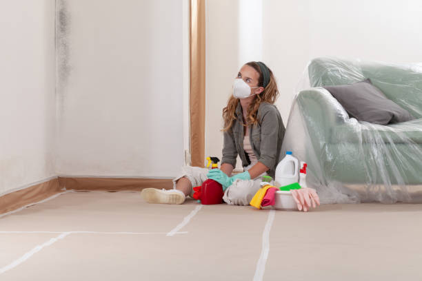Reliable Commercial Mold Remediation contractor in Warrington, PA by WQB Mold Removal